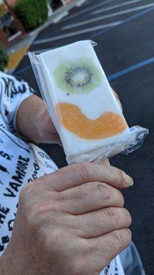 Yogurt fruit bar