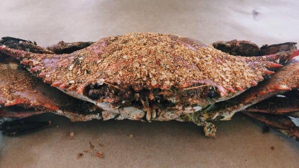 Jumbo/"Monster" crab