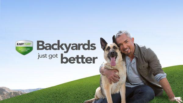 Cesar's Valencia Dog Psychology Center uses our exclusive turf and you can,too.