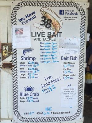 38 Live Bait