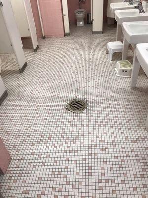 School bathroom floor after being scrubbed