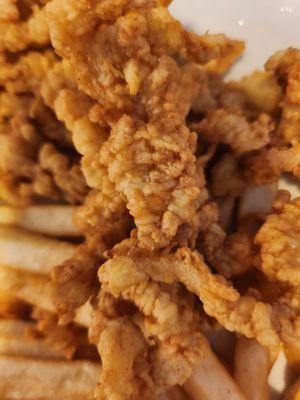 Clam strips