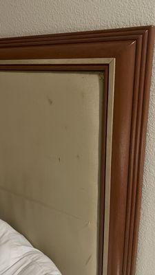 Nasty stains on the headboard, looks like this room hadn't been cleaned once