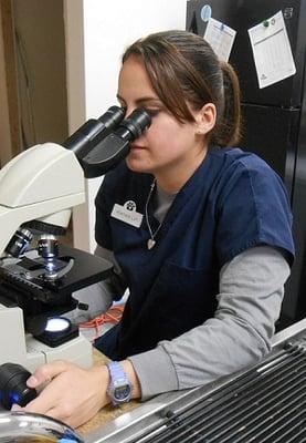 In house laboratory with certified veterinary technicians.