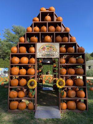 Pumpkin house in the patch