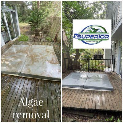 Algae removal