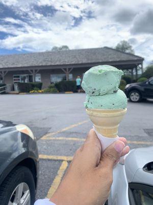 Mint chip Ice cream