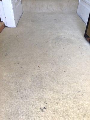 Twin Plaza - first impression - stains in entryway