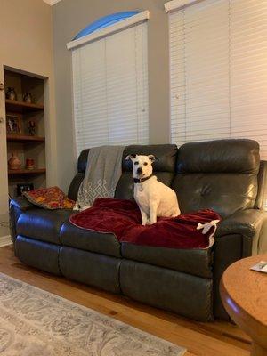 Ariel sitting on the couch.