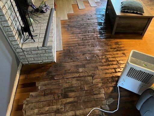 Mold Damaged flooring after flood.