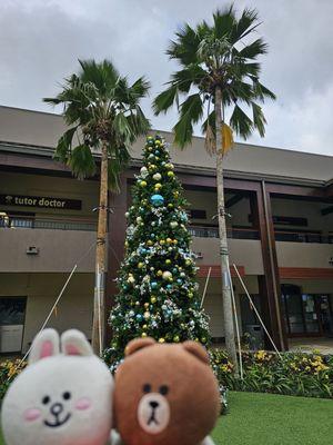 Christmas in Manoa, Honolulu, Hawaii...