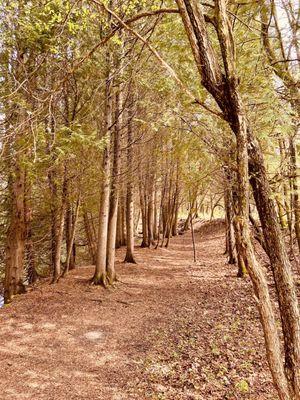 Quarry path