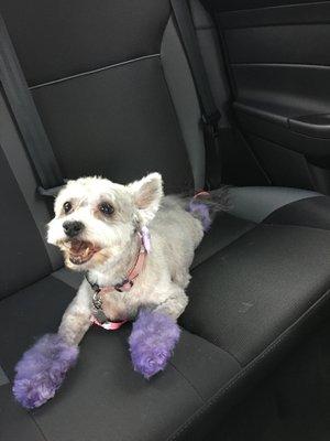 This is Tinkerbell, he put purple on her it's so cute!