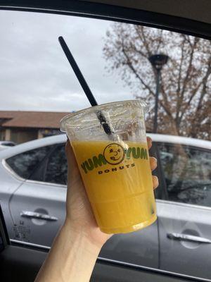 Fresh squeezed orange juice