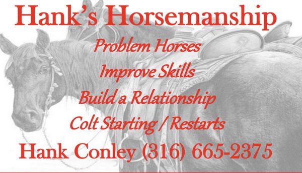 Professional horsemanship training