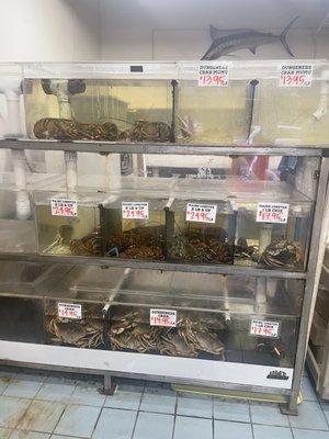 Da Seafood Store