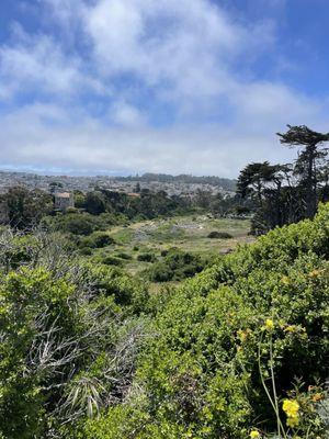 Lobos Valley Overlook at the Presidio