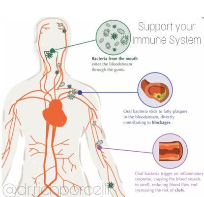 Your gut bacteria and your mouth bacteria "talk" back and forth.