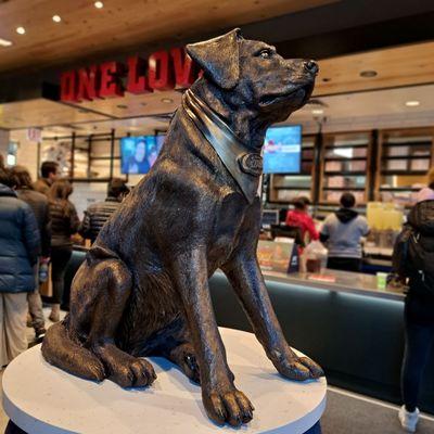 Statue of owners dog, Cane.