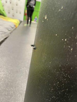 screw or sharp metal sticking out of pole