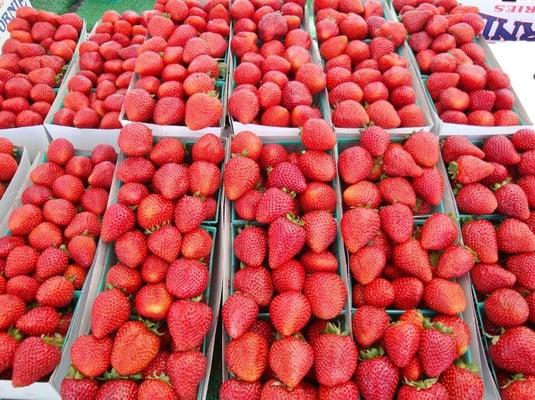 Yummy strawberries