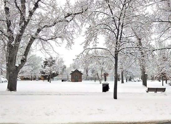 Winter scene in Longmont, Colorado