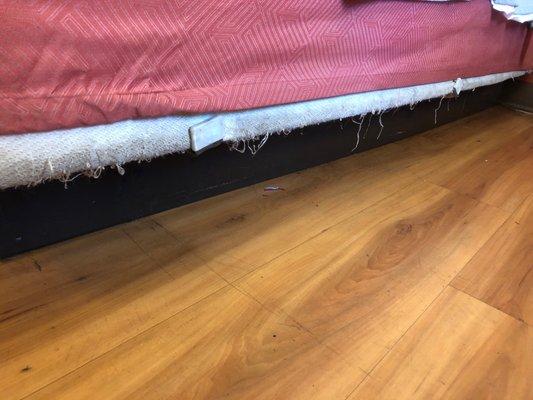 Beds are dilapidated, dirty and have fleas