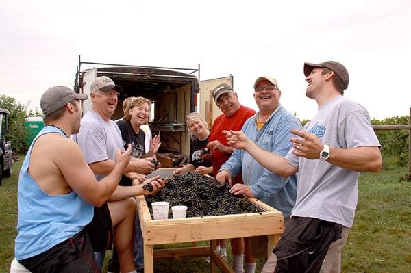 Fun sorting grapes! :)