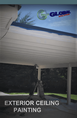 EXTERIOR CEILING PAINTING