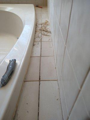 Caulk and Grout