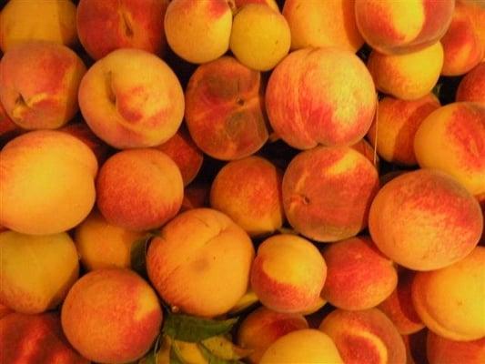 2010 local peach harvest