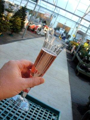 I really enjoy shopping on the days when they provide free drinks & snacks.  This is champagne & cranberry juice.  Yum!