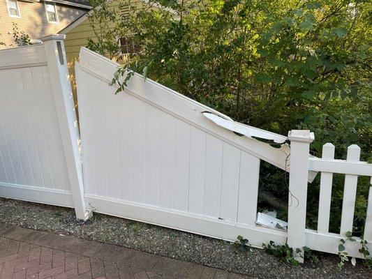 Falling tree damage to fence (could have been a person)