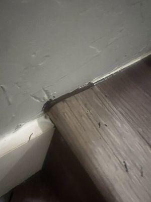 Flooring cut too short so they just sloppily filled in gaps with dark caulk instead of replacing the plank.