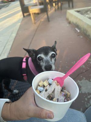 Taro and coffee frozen yogurt with lots of toppings that Sandy is eyeing :)