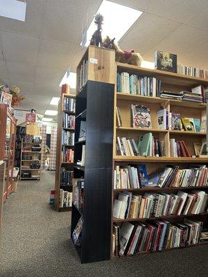 Shelves and shelves of reasonable priced used books, some new books, and lots of hard to find books!