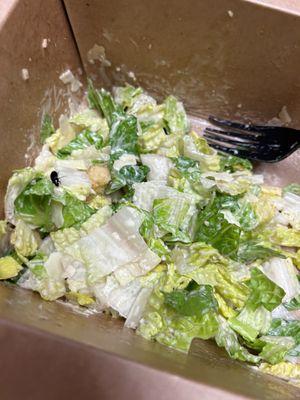 Classic Caesar Salad