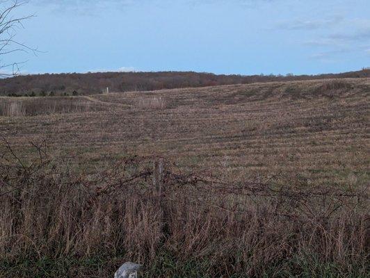 Out to distance you'll see the white blaze and the Pawling Nature Reserve.