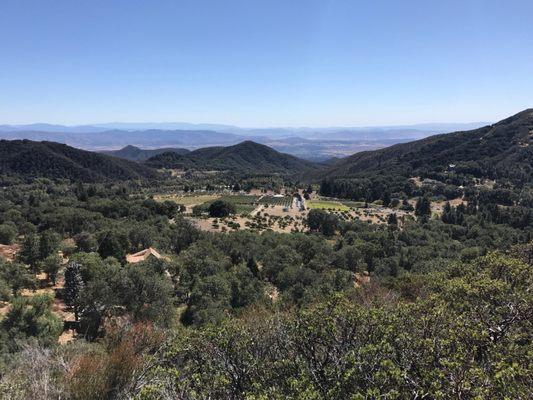 View of Apple orchards