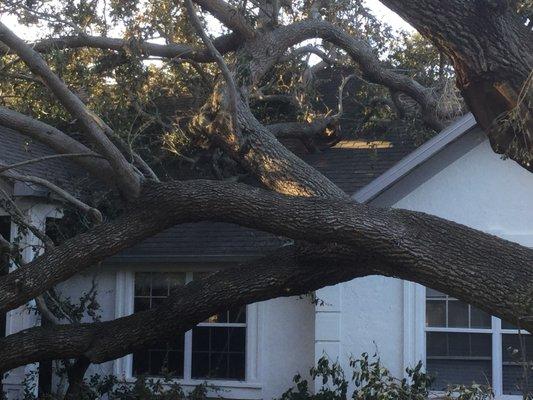 Storm Damage