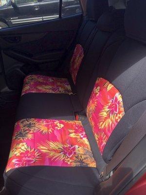 My beautiful new back seat cover!