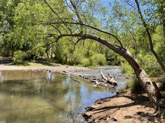 Verde River Greenway - State Natural Area