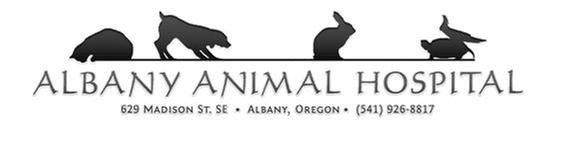 Albany Animal Hospital