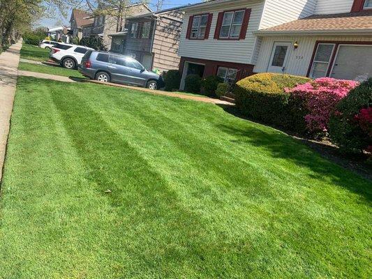 Kiles Lawncare Services