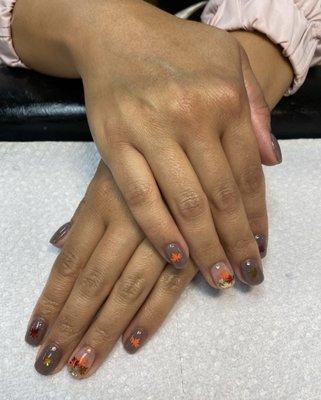 SNS fall nails