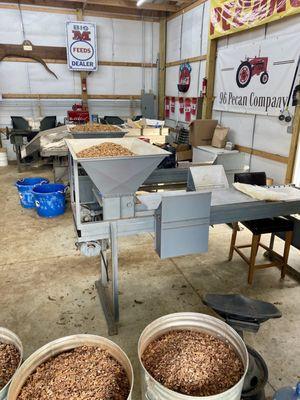 Pecan shelling machines