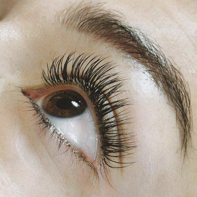 Classic Lash Extensions