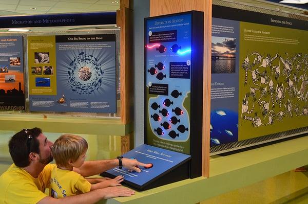 Estuary Explorium exhibits in Marine Science Education Center