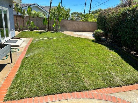 Freshly manicured lawn featuring lush St. Augustine grass and elegant flagstone pathways, beautifully combining natural greenery with crafte