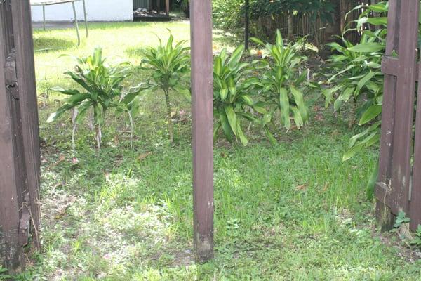 Neighbor removed a fence panel making a gap between my yard and theirs in the fence. Three backyards with a gap in fence; lacks security.